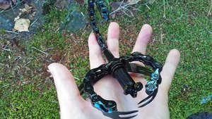 Scorpions 