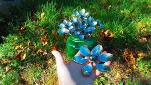 Teaspoon Flowers