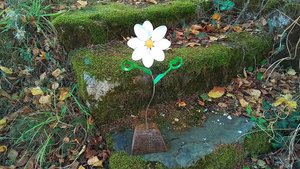 Dancing Daisy (MADE TO ORDER) 