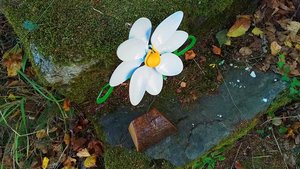 Dancing Daisy (MADE TO ORDER) 