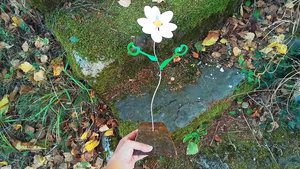 Dancing Daisy (MADE TO ORDER) 