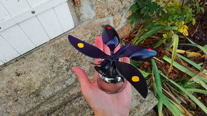 Purple Butterfly on Pot