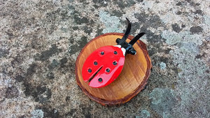 Ladybird on Natural Wood