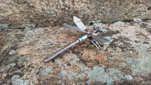 Hanging Wall Dragonfly (on hook)