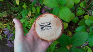 Bee on Natural Wood