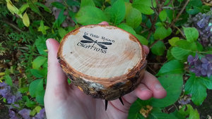 Bee on Natural Wood