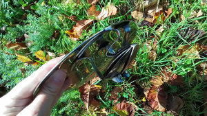 Frog on Ammonite Dish (SOLD)