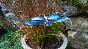 Butterflies on Short Rods
