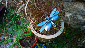 Butterflies on Short Rods
