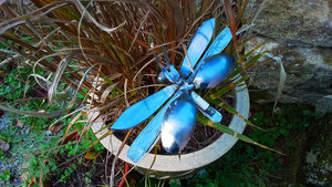 Butterflies on Short Rods
