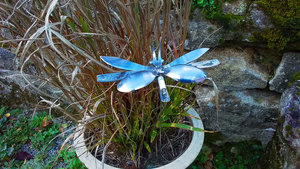 Butterflies on Short Rods
