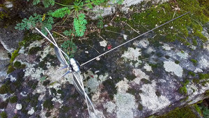 Butterflies on Short Rods

