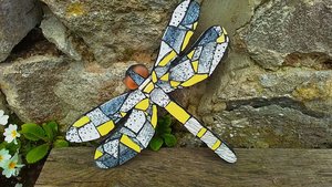 Yellow & Grey Mottled Dragonfly