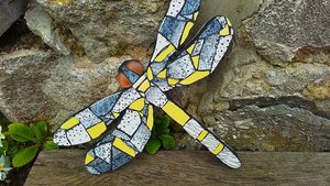 Yellow & Grey Mottled Dragonfly