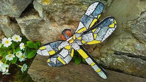 Yellow & Grey Mottled Dragonfly