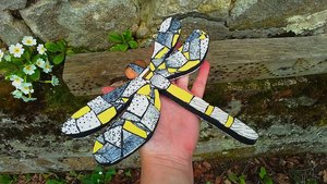 Yellow & Grey Mottled Dragonfly