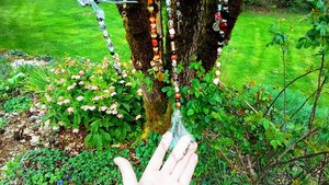 Large Dragonfly & Crystal Chandelier (statement mobile)