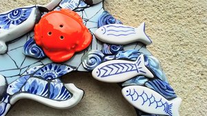 Large Bottlenose Dolphin (with crab & fish friends)