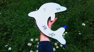Large Bottlenose Dolphin (with crab & fish friends)