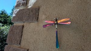 Hanging Wall Rainbow Dragonfly (on hook) (LIMITED EDITION)