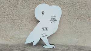 Large Barn Owl (golden moon)