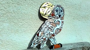 Large Barred Owl (golden moon)