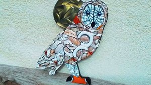 Large Barred Owl (golden moon)