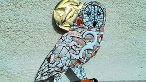 Large Barred Owl (golden moon)