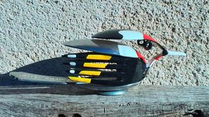 Goldfinch Birds