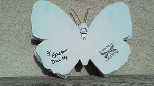 Pink & Green Festive Berries Butterfly 