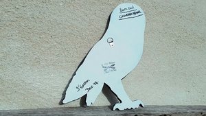 Large Barn Owl (female)