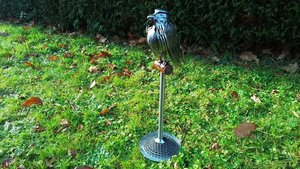 Large Buzzard (on metal stand)