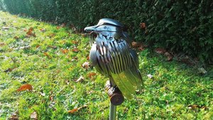 Large Buzzard (on metal stand)