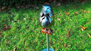 Large Buzzard (on metal stand)