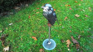 Large Buzzard (on metal stand)