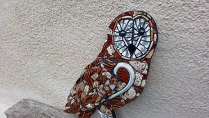 Large Tawny Owl