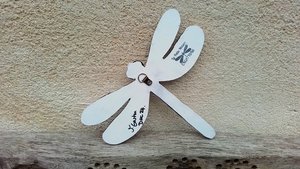 Purple Flowers Dragonfly 