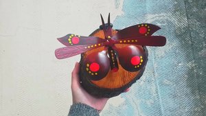 Red Butterfly Nature Log 