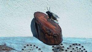 Bee on Natural Wood Slice