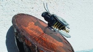 Bee on Natural Wood Slice
