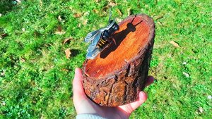 Bee on Natural Wood Slice