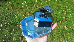 Bee Butter Dish (glass butter dish inside)