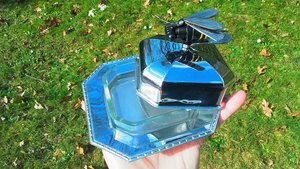 Bee Butter Dish (glass butter dish inside)