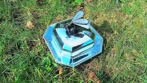 Bee Butter Dish (glass butter dish inside)