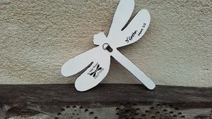Silver Rose Dragonfly 