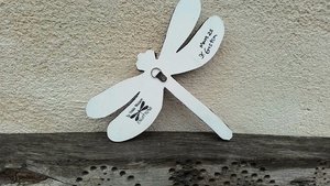Blue Dragonfly 