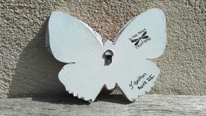 Chinese Garden Butterfly 