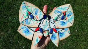 Red & Blue Peach Dragonfly Butterfly 