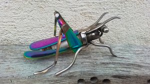 Rainbow Grasshopper (MADE TO ORDER)