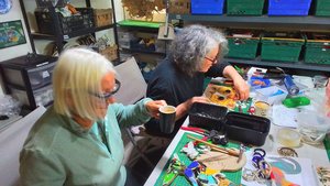 One Day Mosaic Course